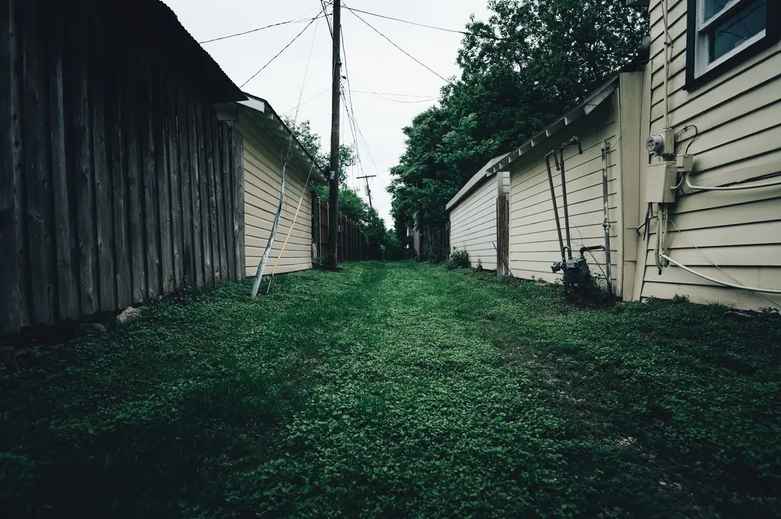 An overgrown grass pathway between fences
