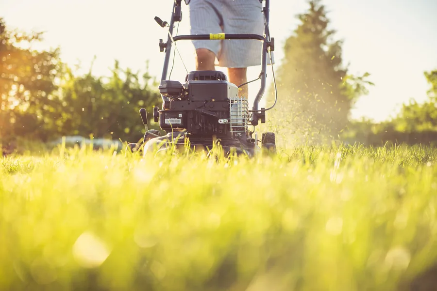 A push mower cutting a stripe into fresh green grass